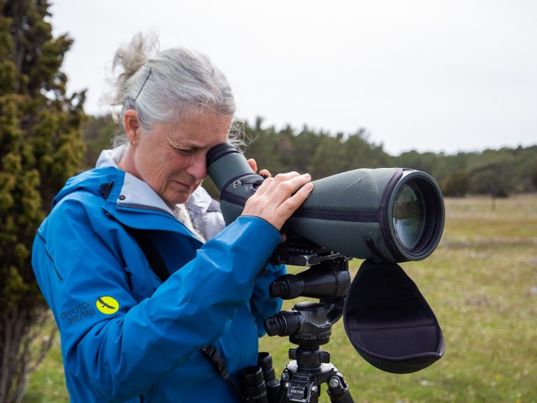 Gunilla Sundberg, GotlandNature. Naturguide och ornitolog.