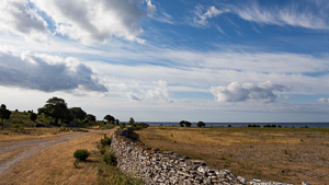 Gåsemorahammaren, Fårö