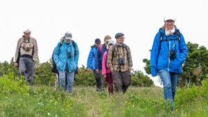 Naturupplevelser på Stora Karlsö: Stora Karlsö kursdeltagare